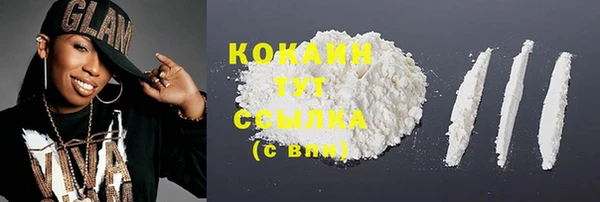 шишки Михайлов
