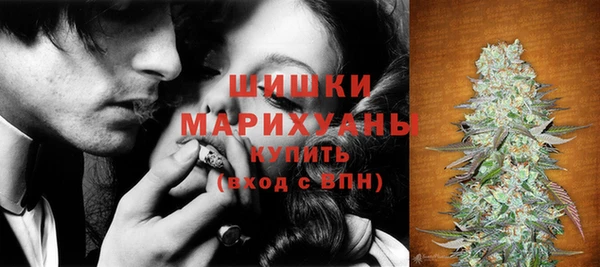 spice Вязники