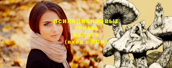 spice Вязники