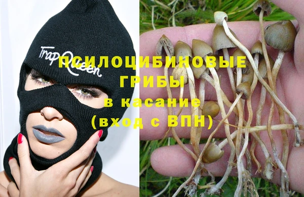 а пвп мука Вяземский